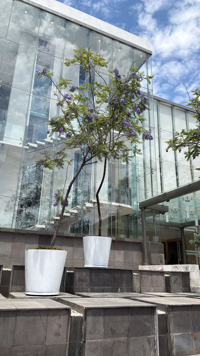 Rodolfo Ruiz R. tweet media