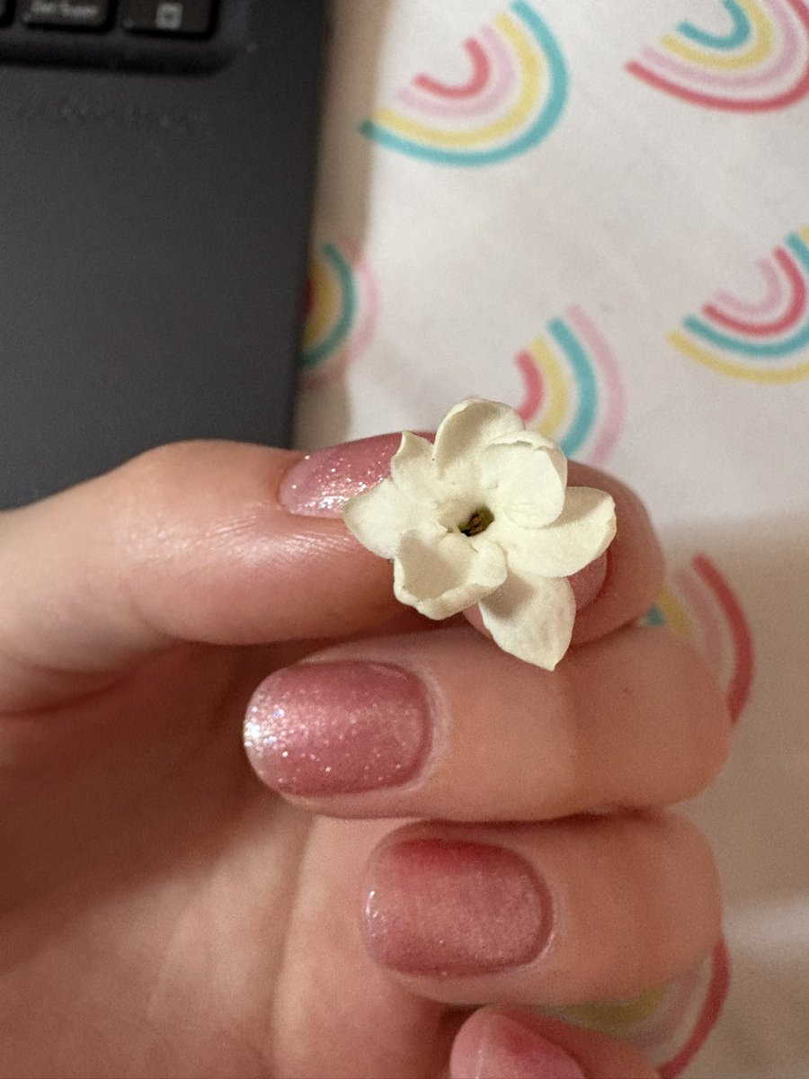 jules ˶ᵔ ᵕ ᵔ˶ tweet media