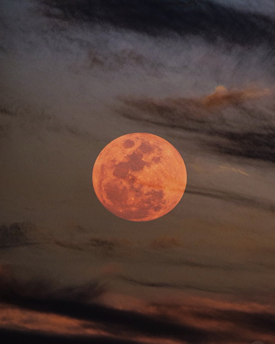 M1ONLOVER's tweet photo. Pink Moon rising https://t.co/5BAJmH6YDC