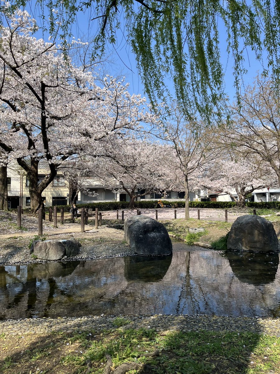 Yumul Onishi💭 tweet media