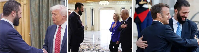 Liana Marabini tweet media