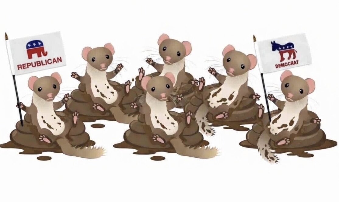 Lenore Simonson tweet media