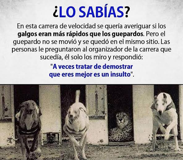 hatriki1's tweet photo. Dale una vuelta https://t.co/0Bo6JotTFM