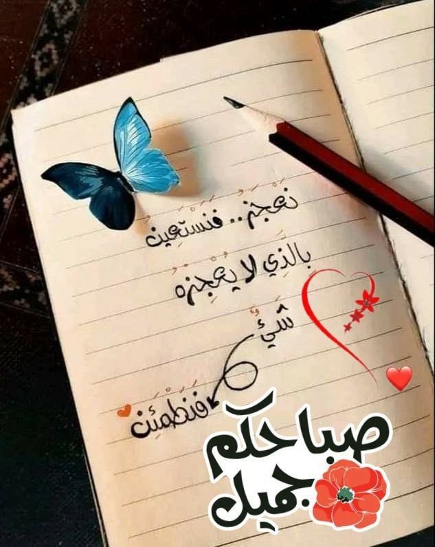 عماني وافتخر 🇴🇲 tweet media