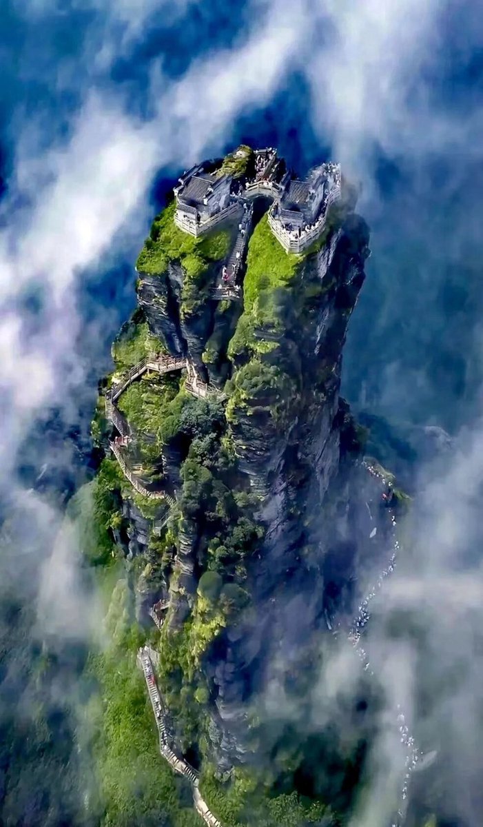 蓝田生玉 tweet media