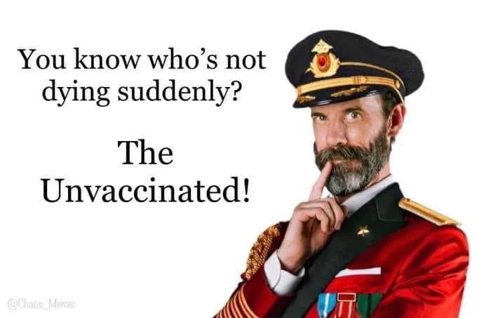 Stock Sniper tweet media