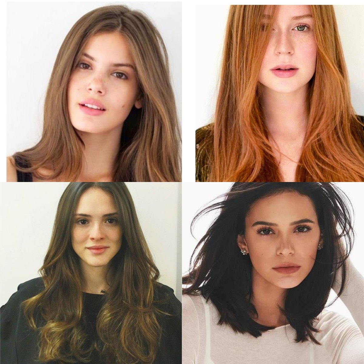 denguisis tweet media