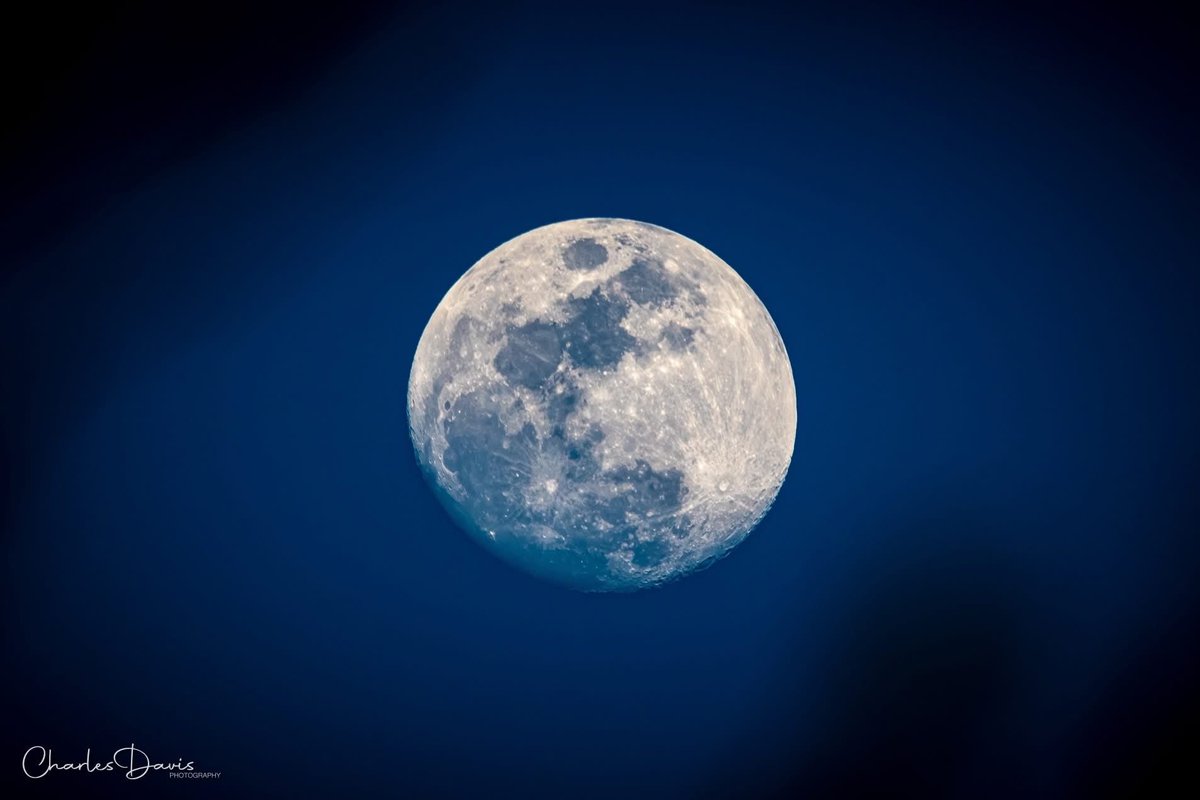 Just_Jamie_USA's tweet image. 🌕✨
One last look at this absolute beauty before I log off for the night.
The Moon never disappoints. Sweet dreams, everyone — see you on the bright side tomorrow. 🌙
#GoodnightX #MoonMagic