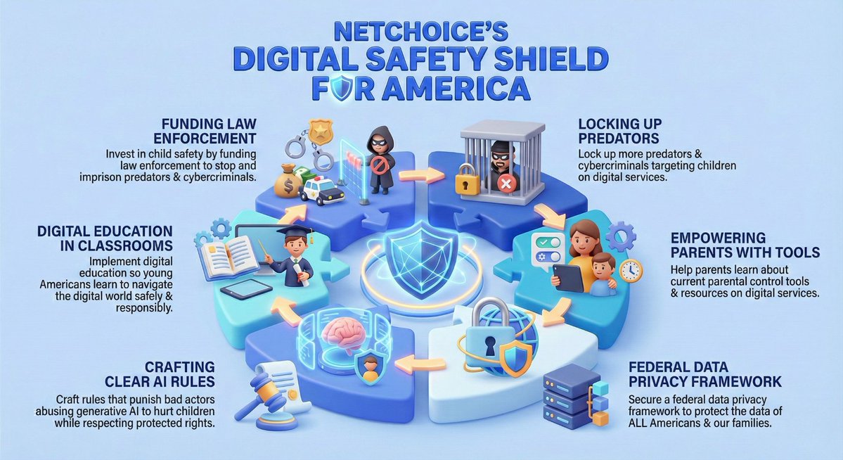 NetChoice tweet media