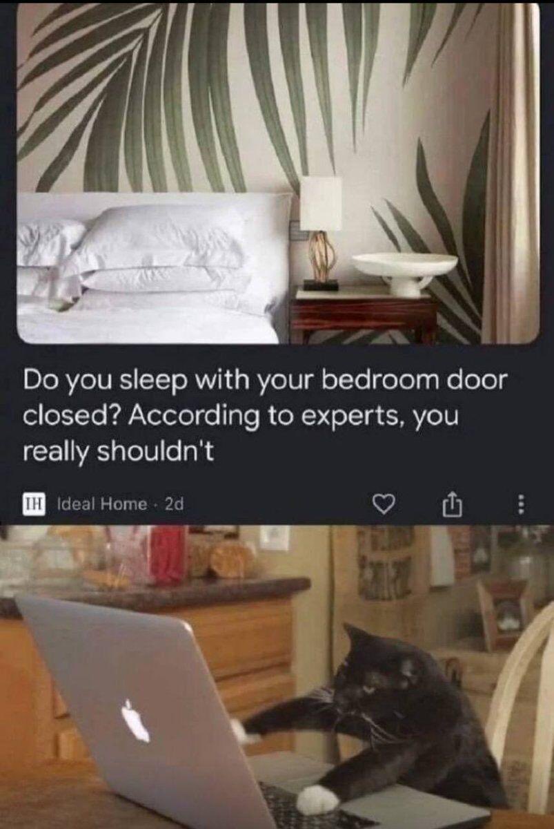 Shibetoshi Nakamoto tweet media