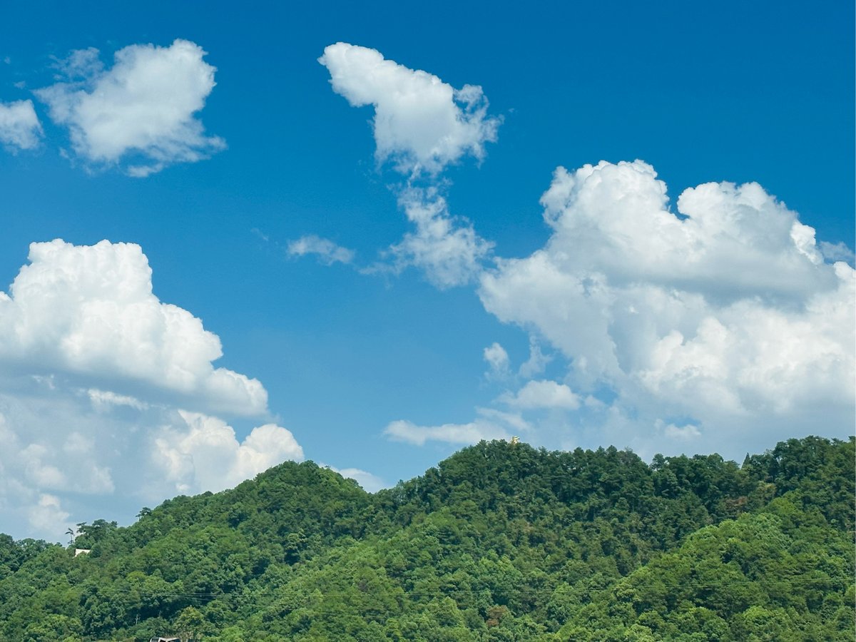 Mohit Deb tweet media