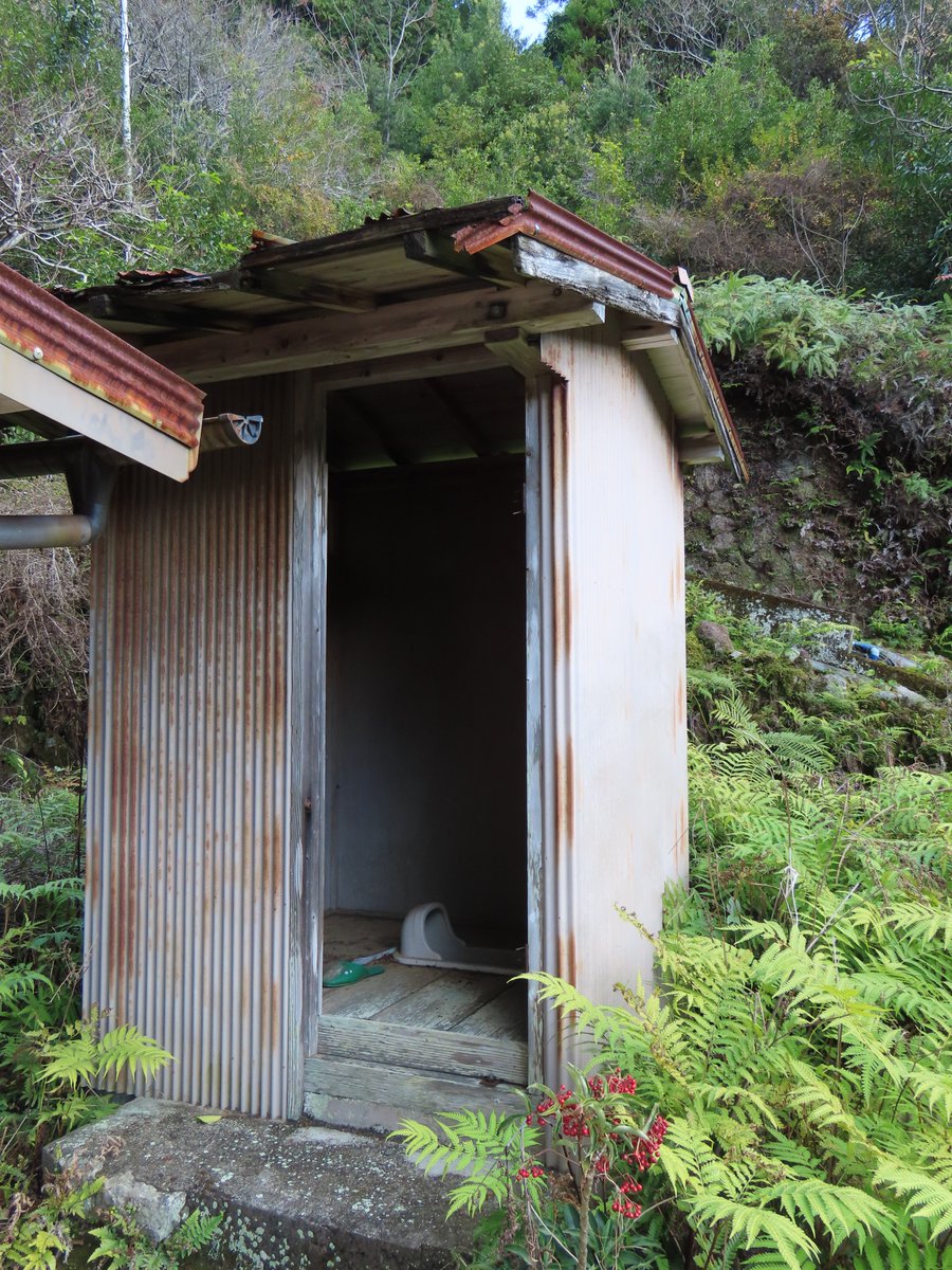 みぜっとR tweet media