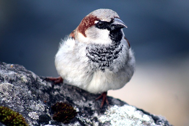 Gabriel Barrington tweet media