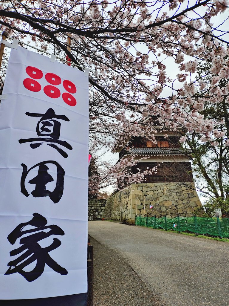 眞田神社【公式】 tweet media