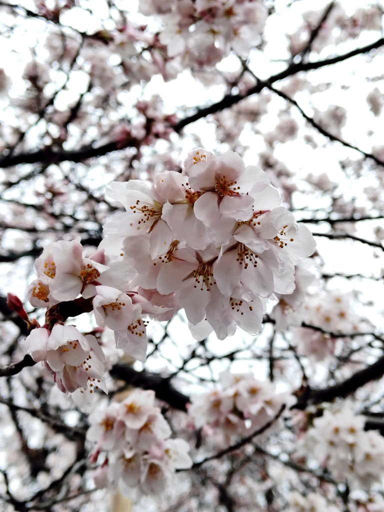 眞田神社【公式】 tweet media