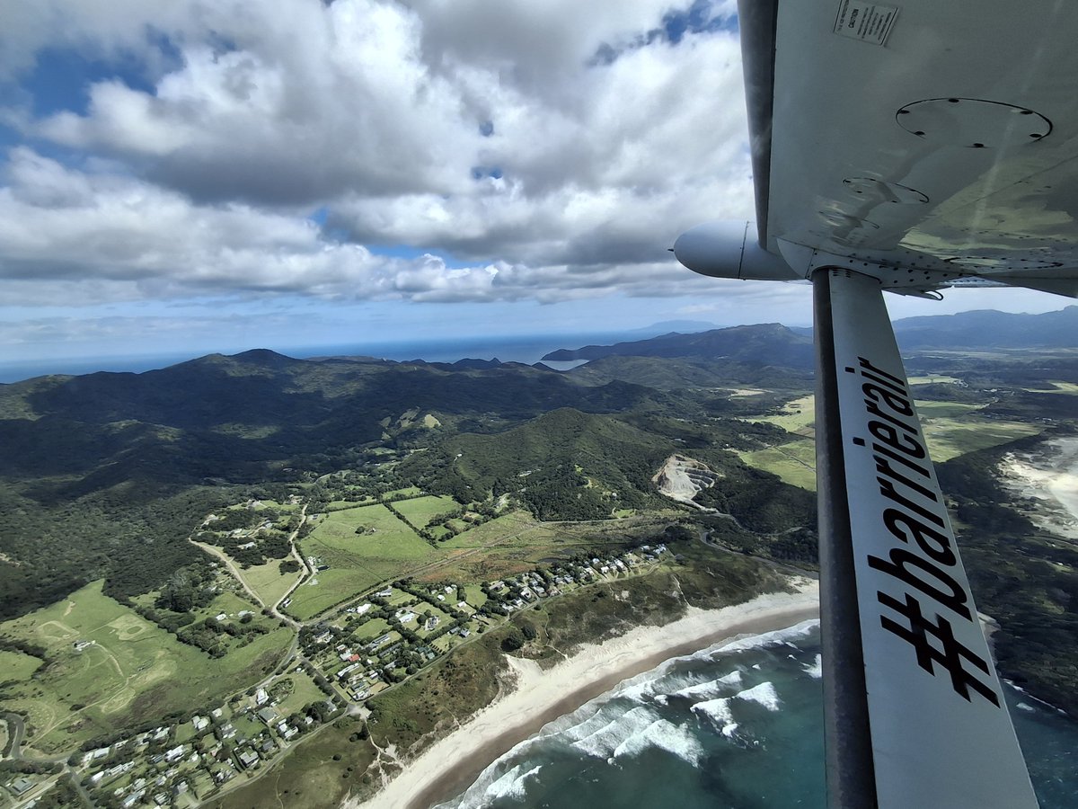 Minoru@NZガーデナー tweet media