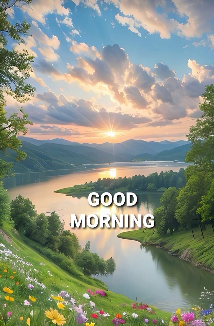 KantRavi69859's tweet image. ताजी हवा, खिली हुई धूप और अपनों का साथ... जिंदगी और क्या है? 🌸
आपकी सुबह उतनी ही खूबसूरत हो जितना कि आपका मन।
​शुभ प्रभात! आपका दिन मंगलमय हो। ✨#GoodMorning #MorningVibes #Happiness #Peace #DailyPost