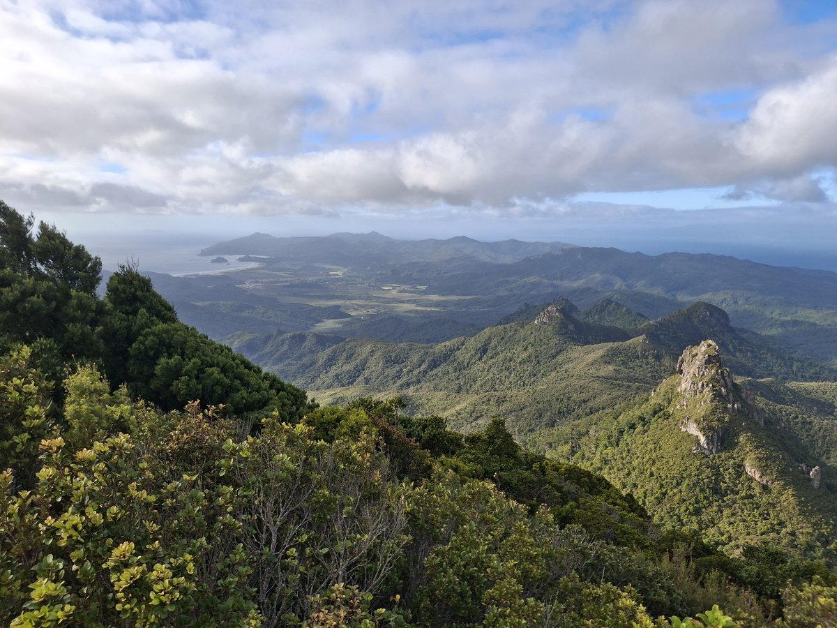 Minoru@NZガーデナー tweet media