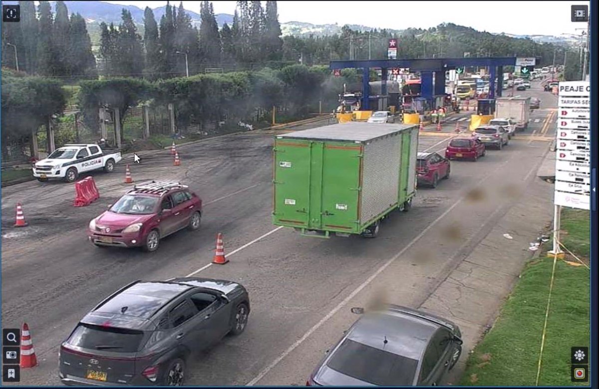 Gusano Petrosky tweet media