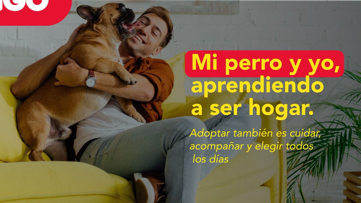 Efecto Ringo tweet media