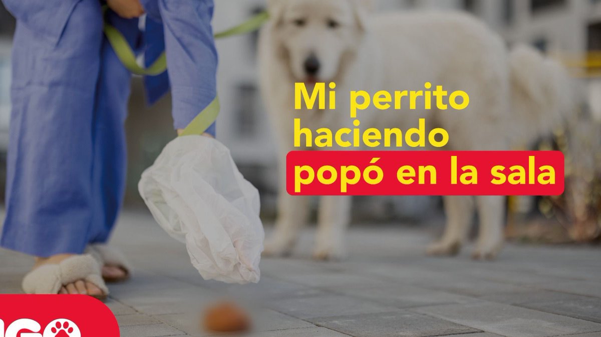 Efecto Ringo tweet media