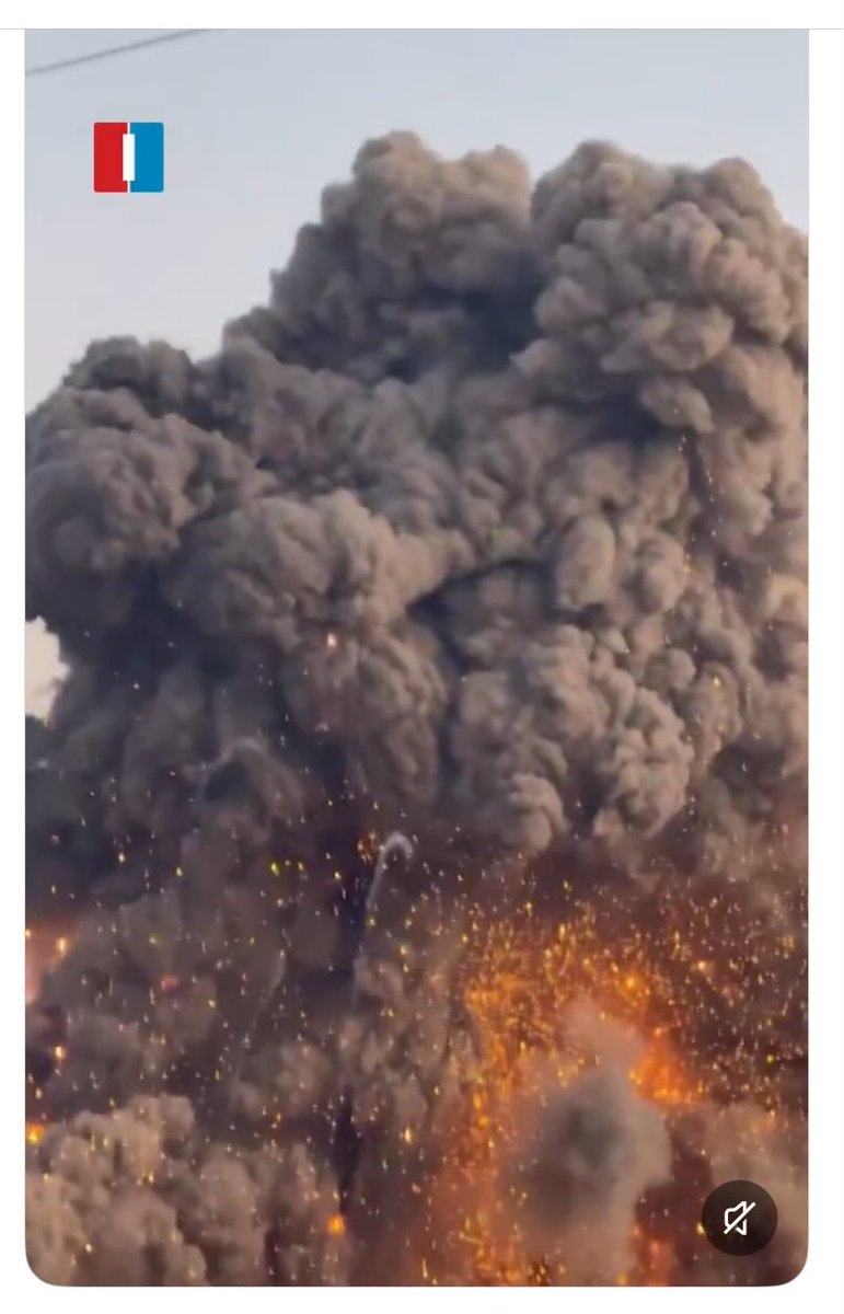 Bullfish tweet media