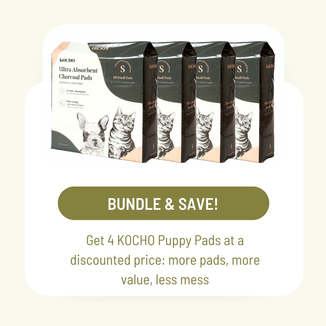 KochoUsa's tweet image. Smaller spaces, lighter routines, KOCHO small pad bundles on Amazon make everyday pet care easier to manage and restock.

#KOCHO #AmazonEssentials #PuppyPads #PetCare #CleanLiving
