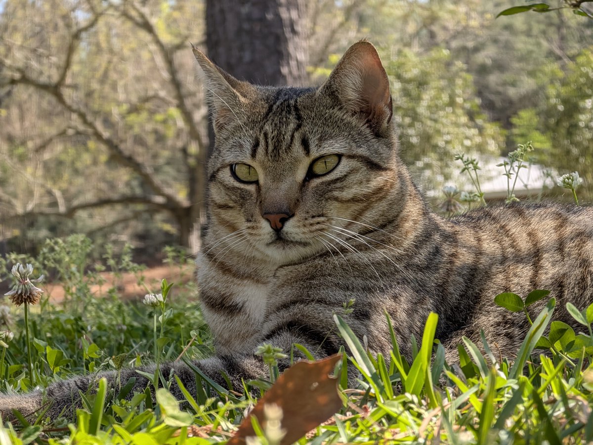 Alpine Floof tweet media