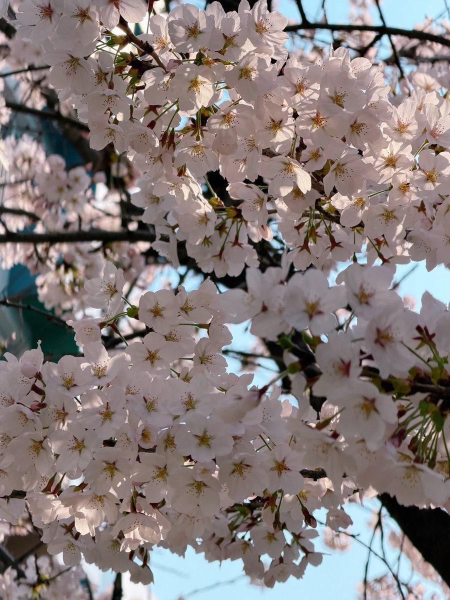 이순희 tweet media