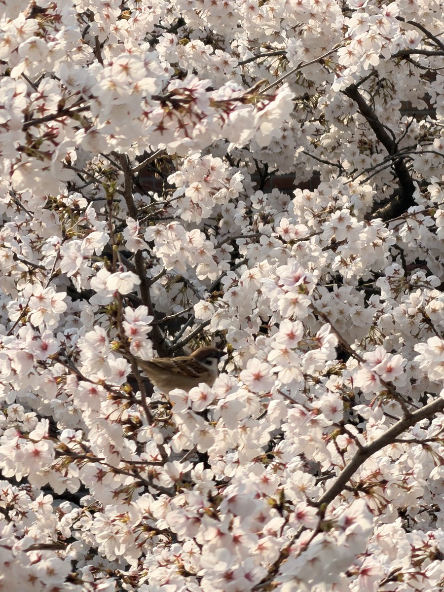 사중 (상태:사회중년생) tweet media