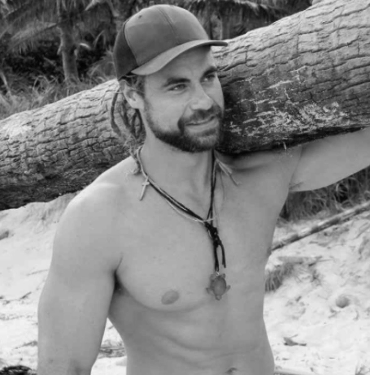 Elephant from Gabon tweet media