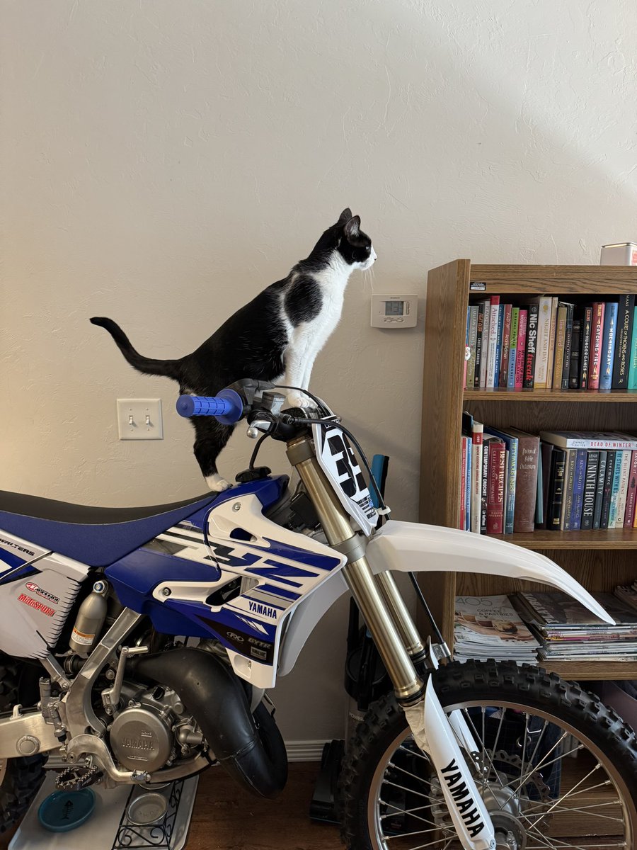 davissss__'s tweet photo. @katsuo779 My cat Franklin and him riding a dirt bike https://t.co/QU3saeudmZ