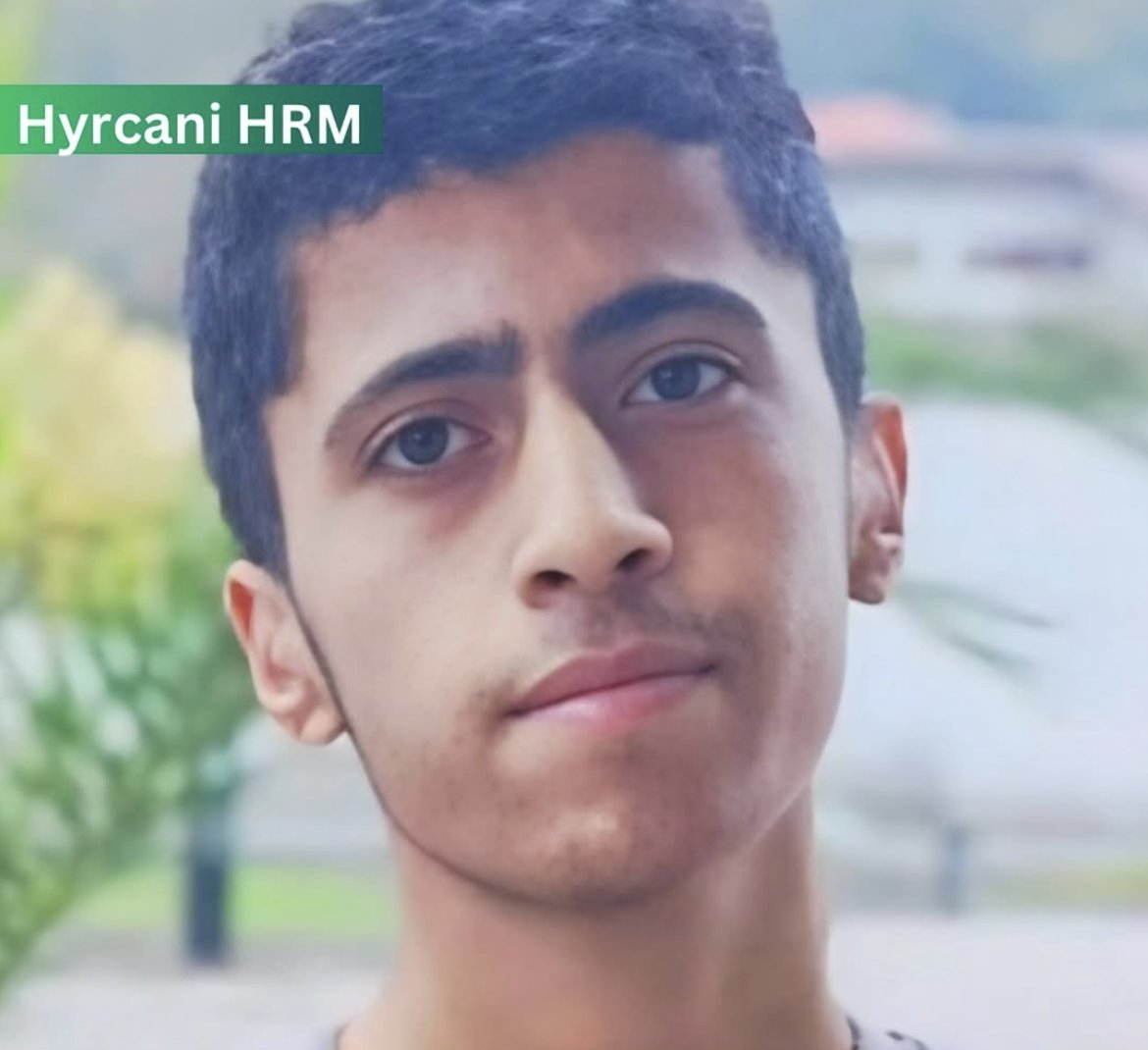 Tara | تارا tweet media