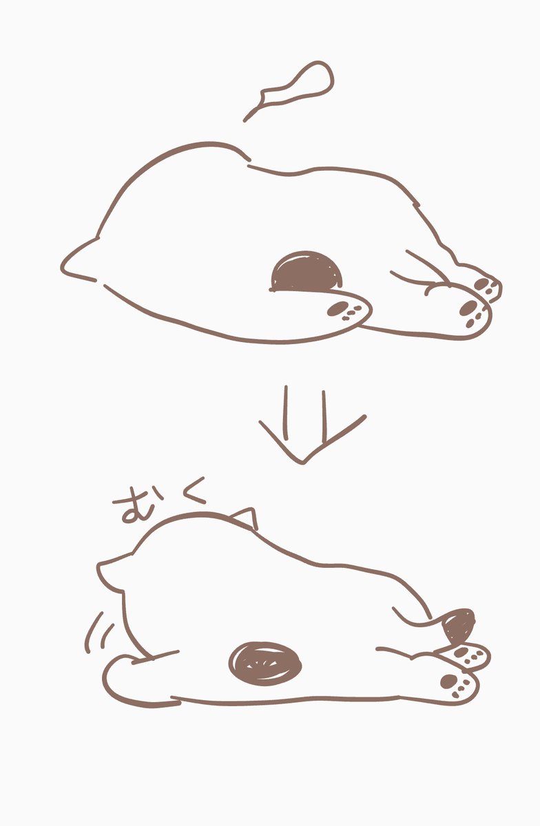 ダダちゃん tweet media