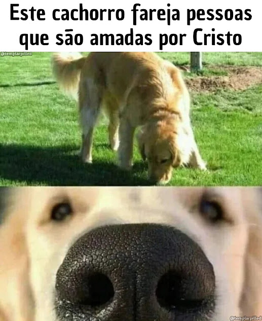 abracetradicao's tweet photo. https://t.co/DnoLbJnqdX