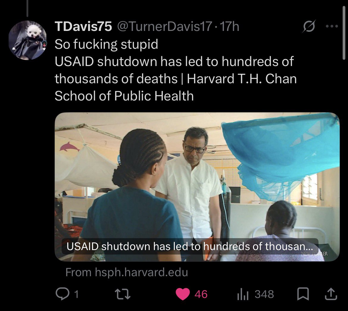 Telsee with a T tweet media
