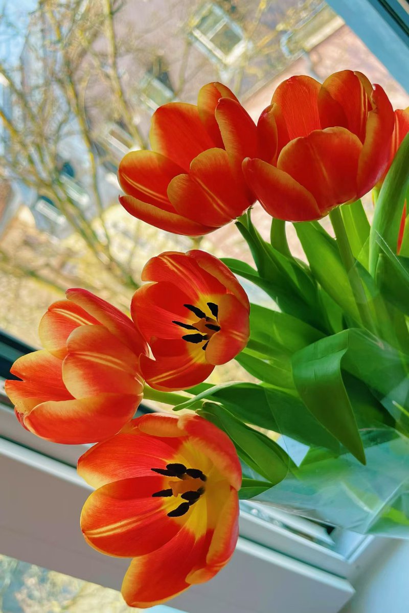 加点双皮奶(互fo) tweet media