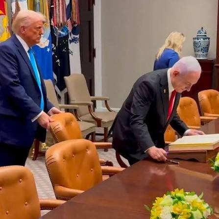 Osana nas Halturas tweet media