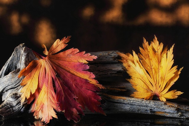 Jeff Young tweet media