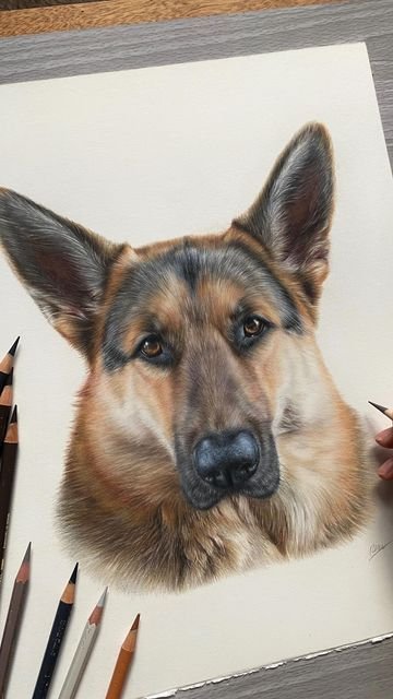 Olivia ❤️ tweet media