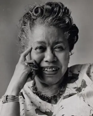 Bambooshooti™ 🇺🇸🥁🌊😷💉🌻 tweet media