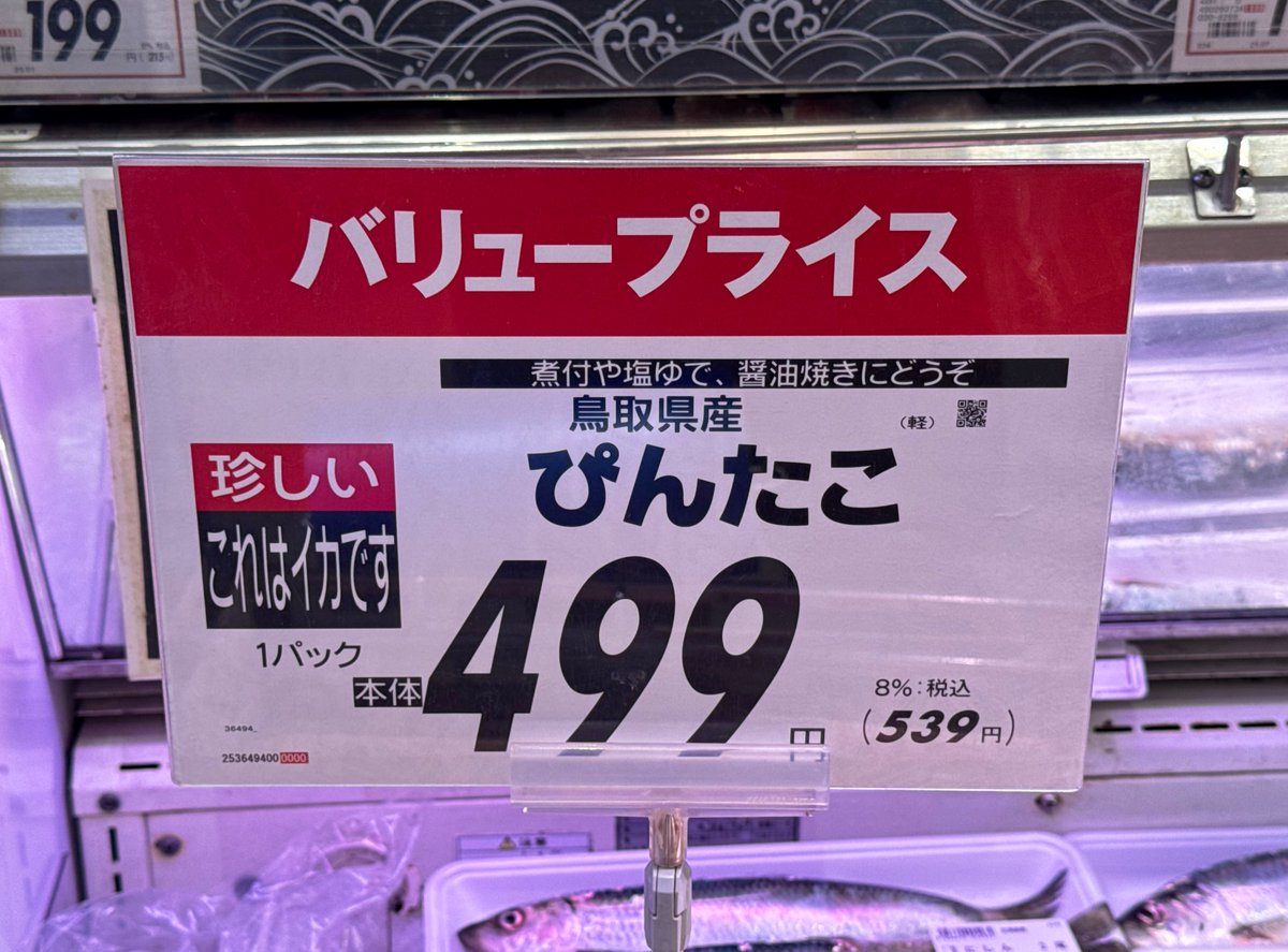 玉置標本 tweet media