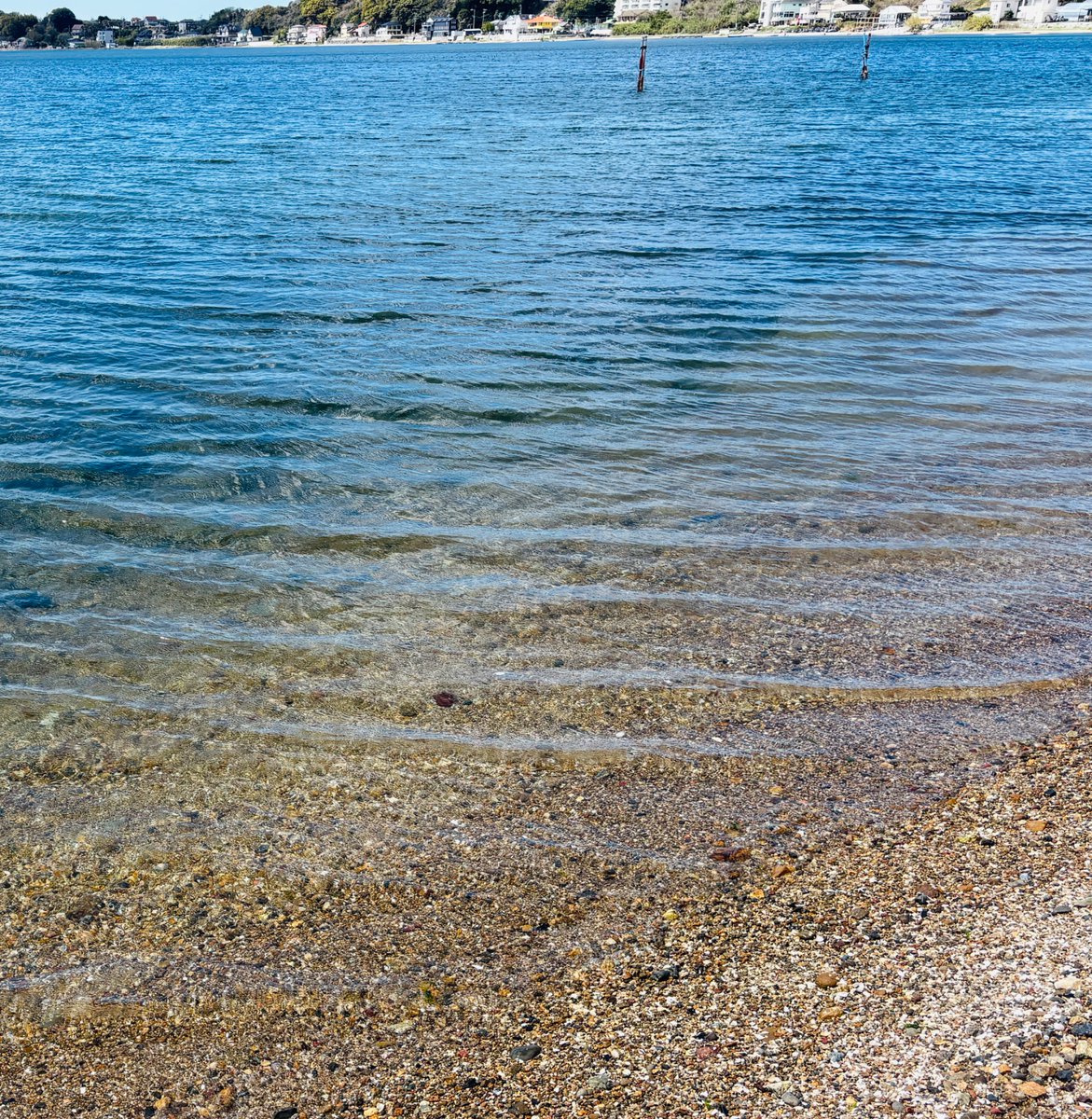 沢渡あまね新刊 #チームプレーの天才 #組織の体質を現場から変える100の方法 ほか tweet media