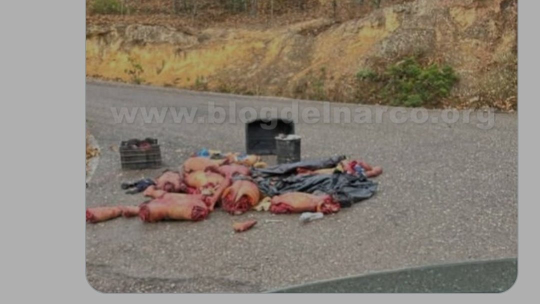 RubyLeveledUp tweet media