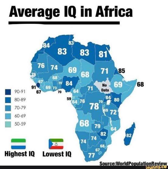 モジョコーラ tweet media