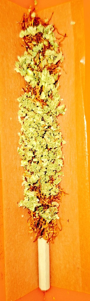 𝕻𝖗𝖊𝖙𝖙𝖞𝕷𝖎𝖙𝖙𝖑𝖊𝕯 🔮 tweet media