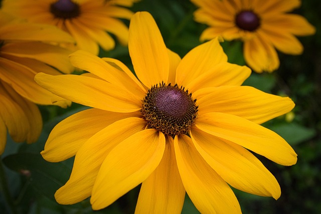 Gerald Ayrton tweet media