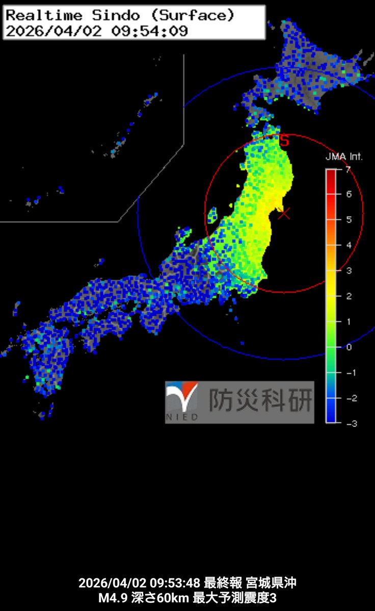 ᴱᴸᶠᴱᴱ紫苑(シオン)🐈‍⬛🐾【shion03】 tweet media