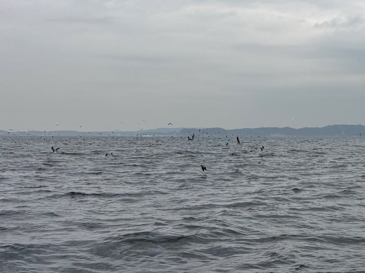 AnglersStaff tweet media