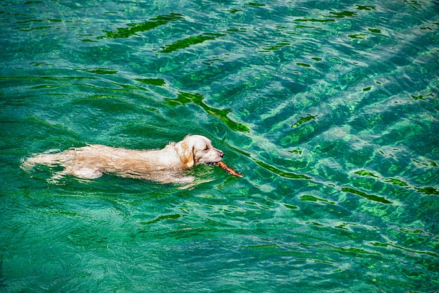 Anne Brown tweet media